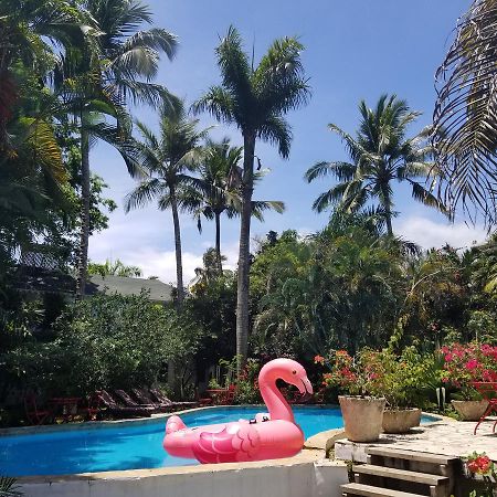 Cabarete Surf Camp 호텔 외부 사진