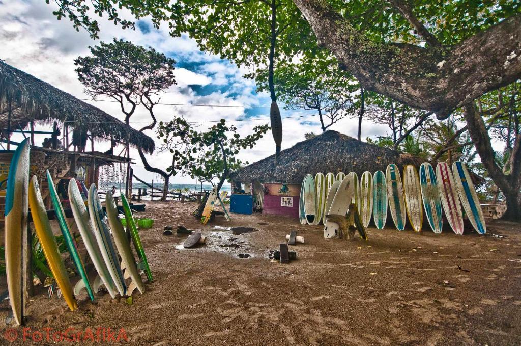 Cabarete Surf Camp 호텔 외부 사진