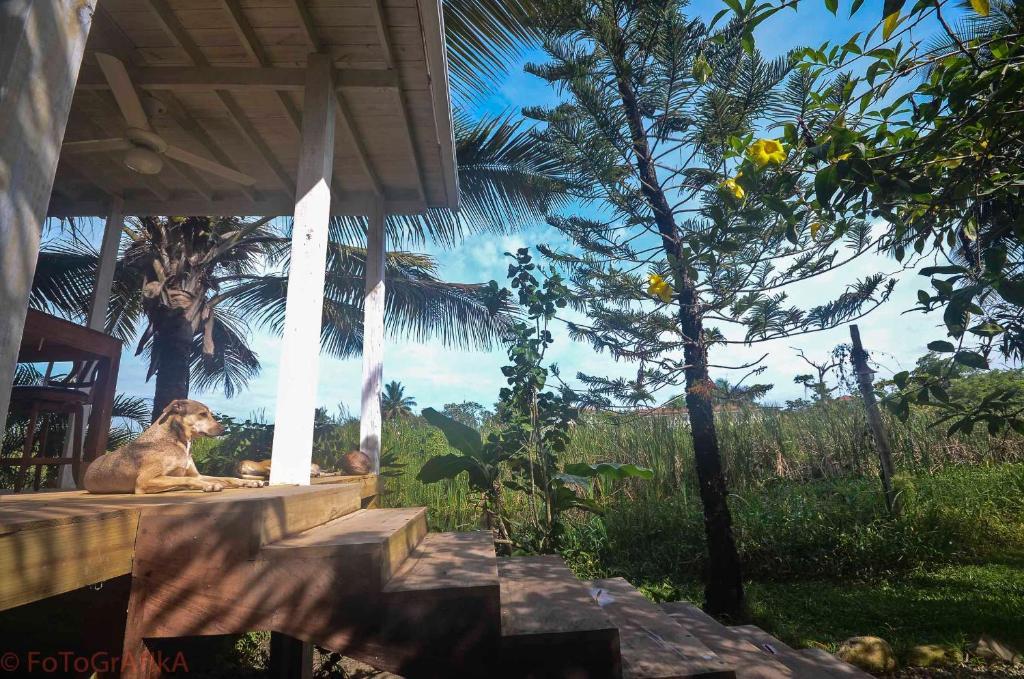 Cabarete Surf Camp 호텔 외부 사진