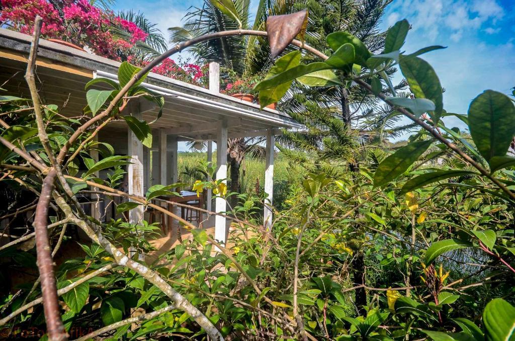 Cabarete Surf Camp 호텔 외부 사진