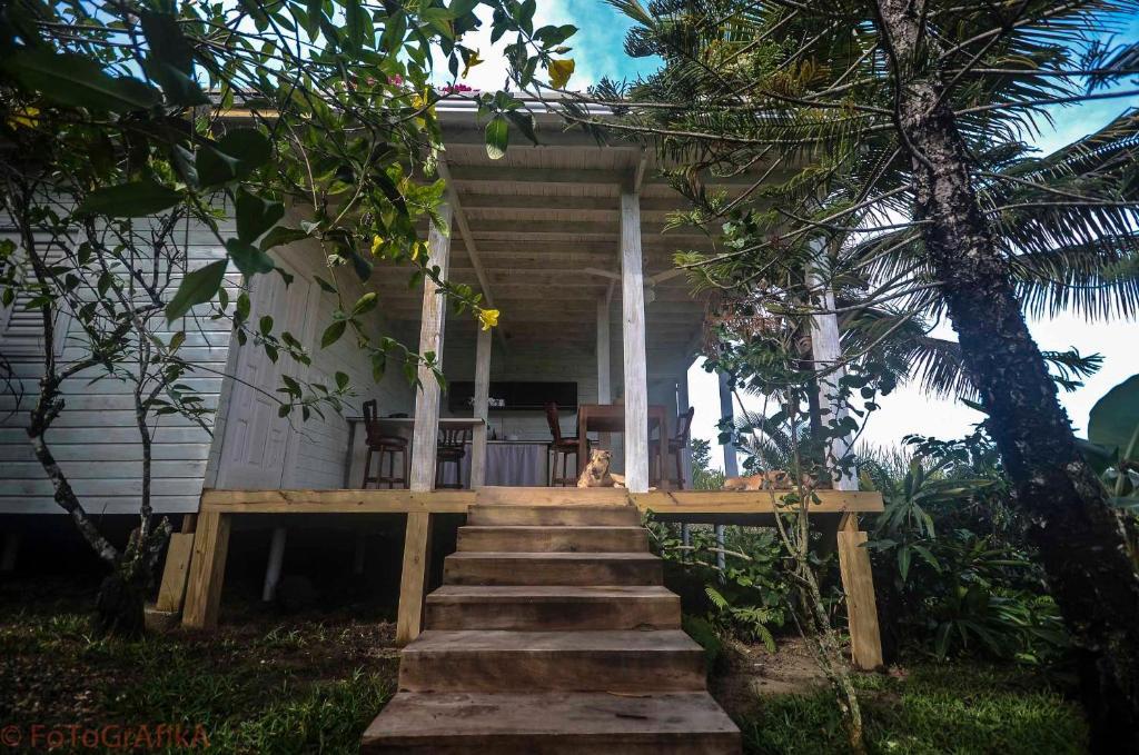 Cabarete Surf Camp 호텔 외부 사진