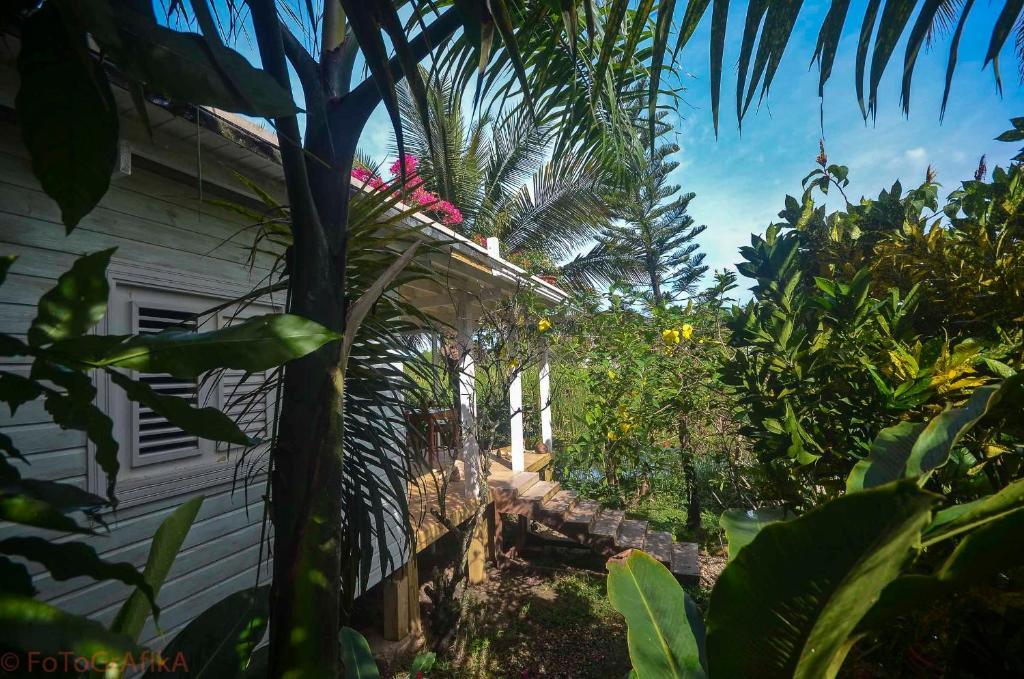 Cabarete Surf Camp 호텔 외부 사진