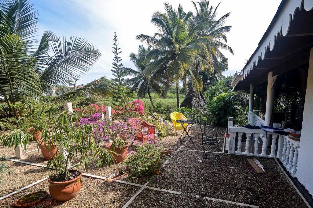 Cabarete Surf Camp 호텔 외부 사진