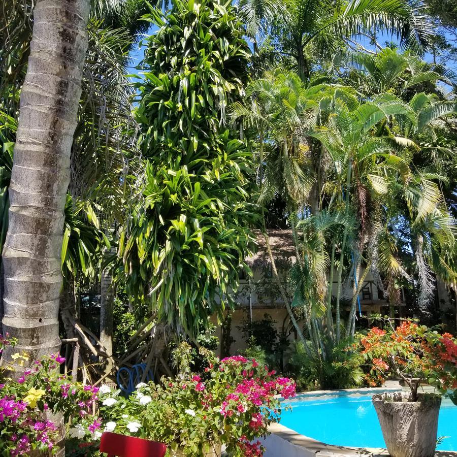 Cabarete Surf Camp 호텔 외부 사진